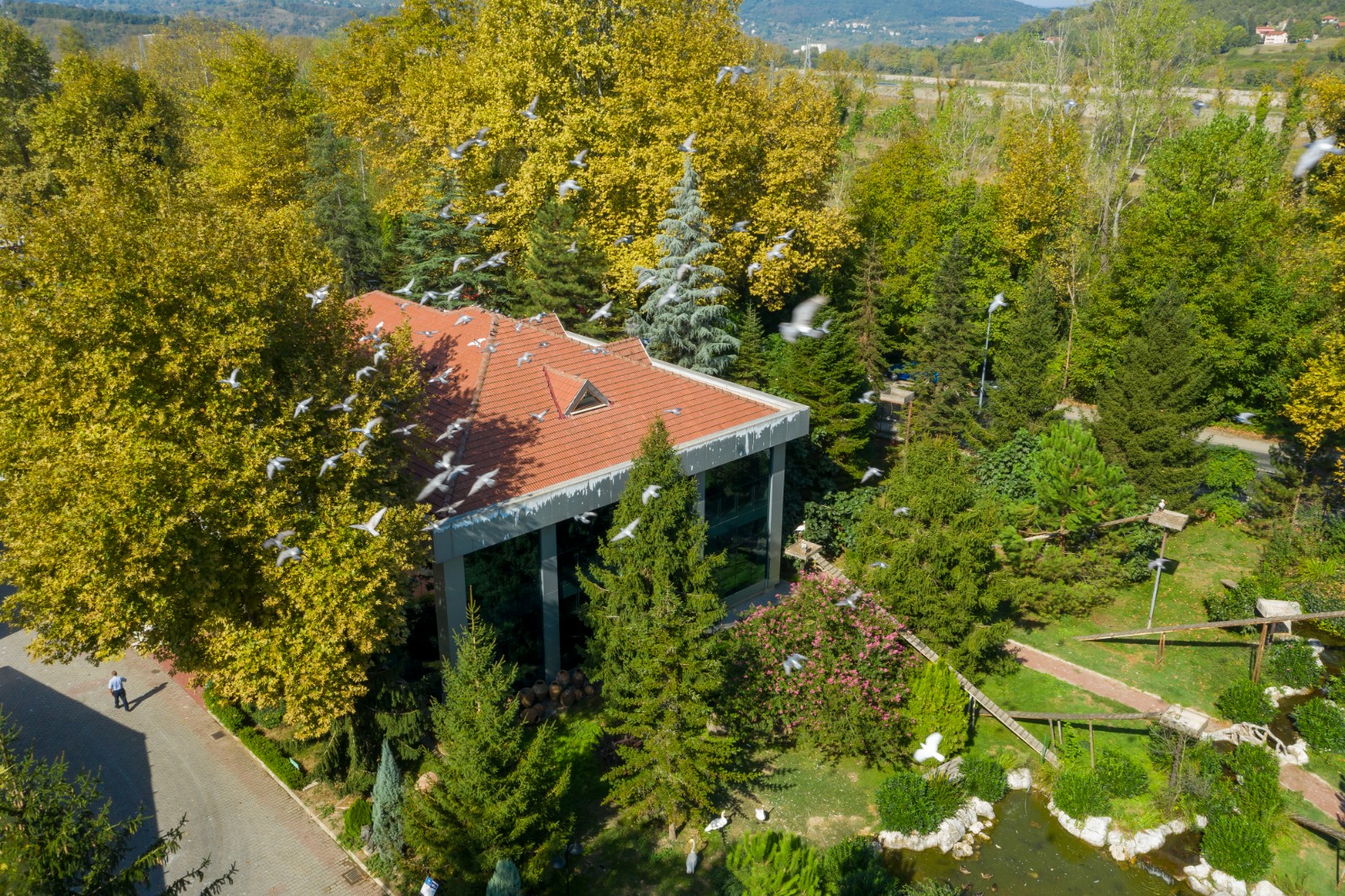 Potters Zoo and Botanical Area