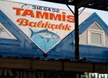 Tammis Balıkçılık