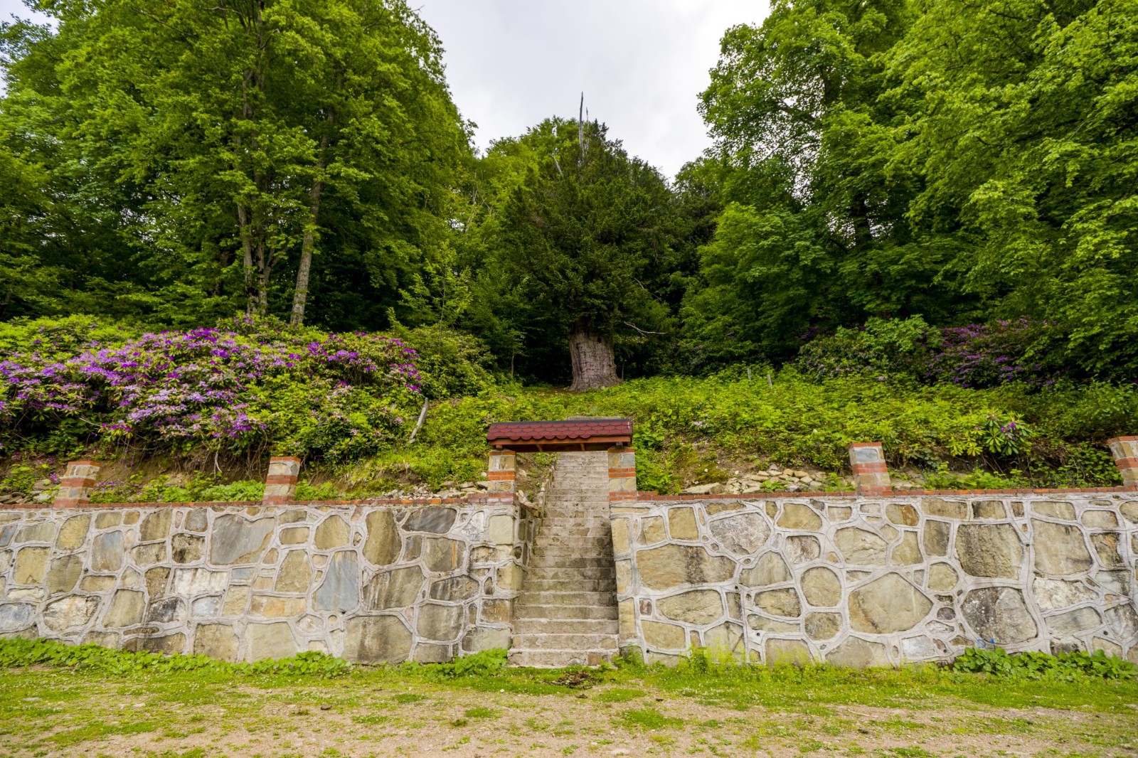 Gümeli Natural Monument