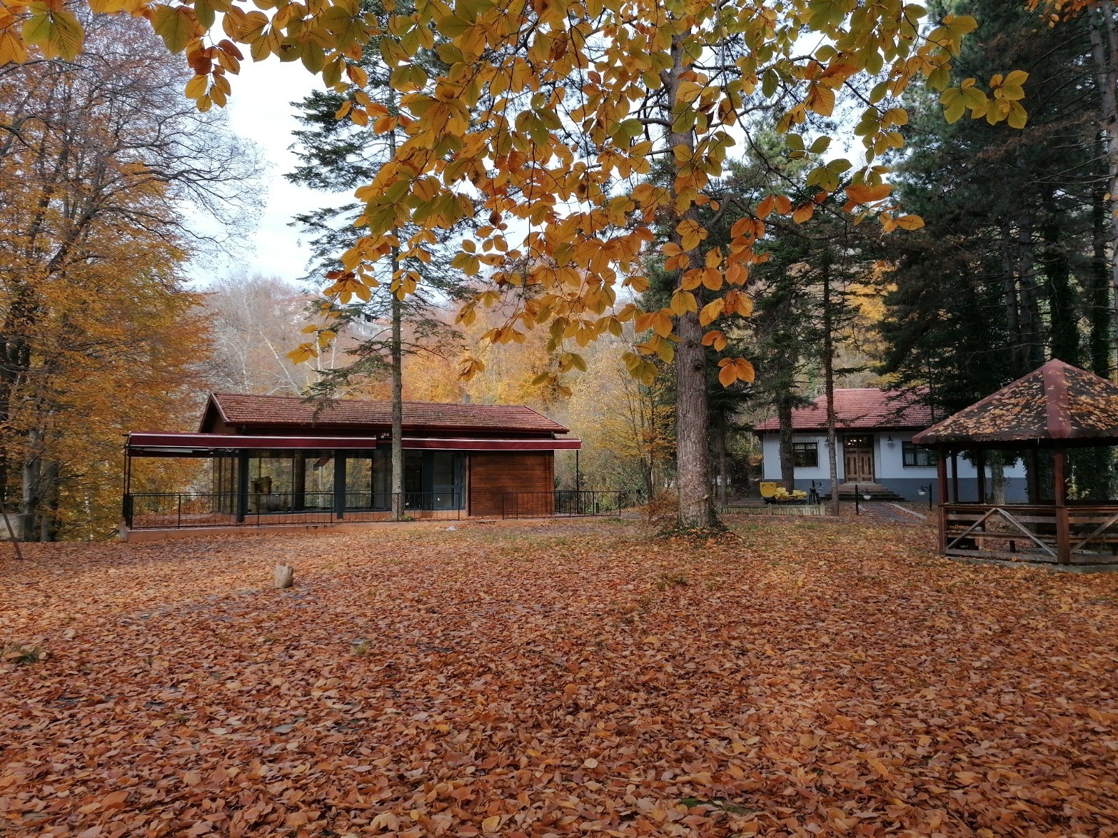 Karaelmas Maden Şehitleri Müzesi