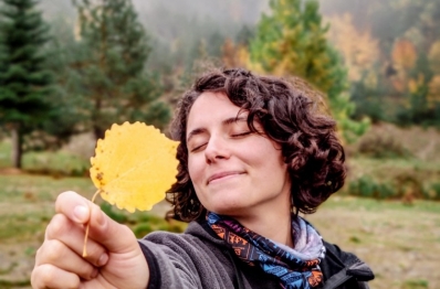 Bölüklü Yaylası Kamp Alanı|Zonguldak Kamp Yerleri